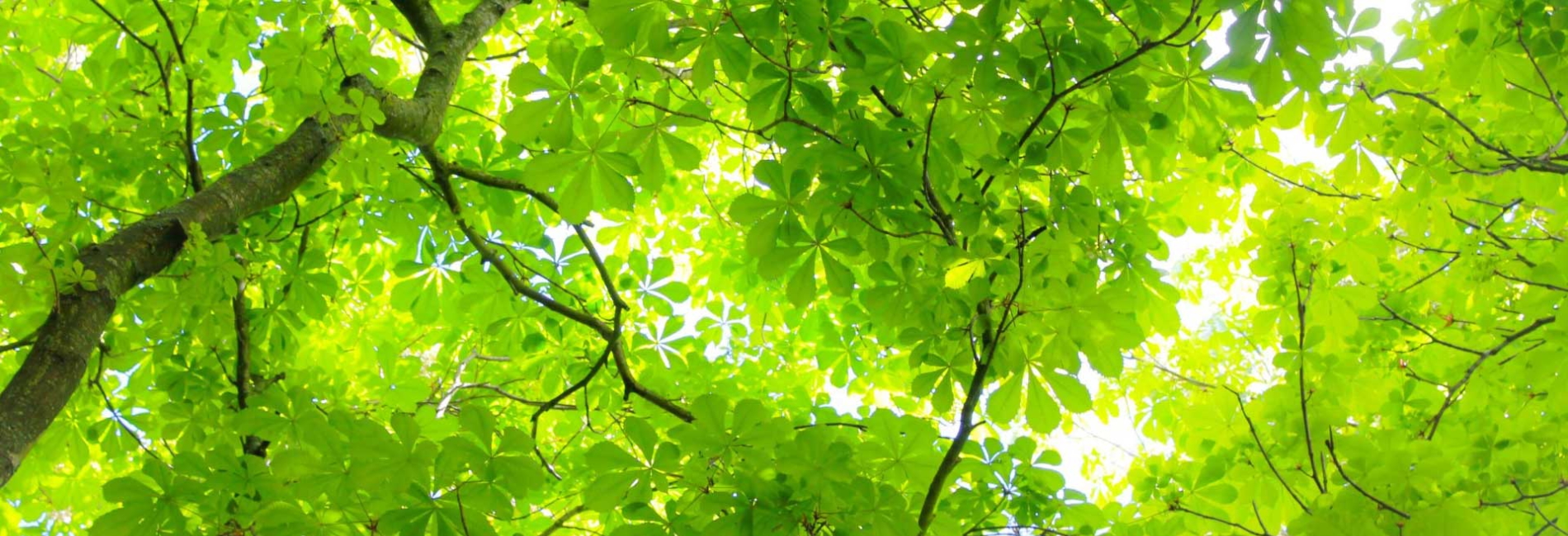 As a global leader in surface materials, we view sustainability not only as a responsibility, but also as an opportunity to innovate and grow.