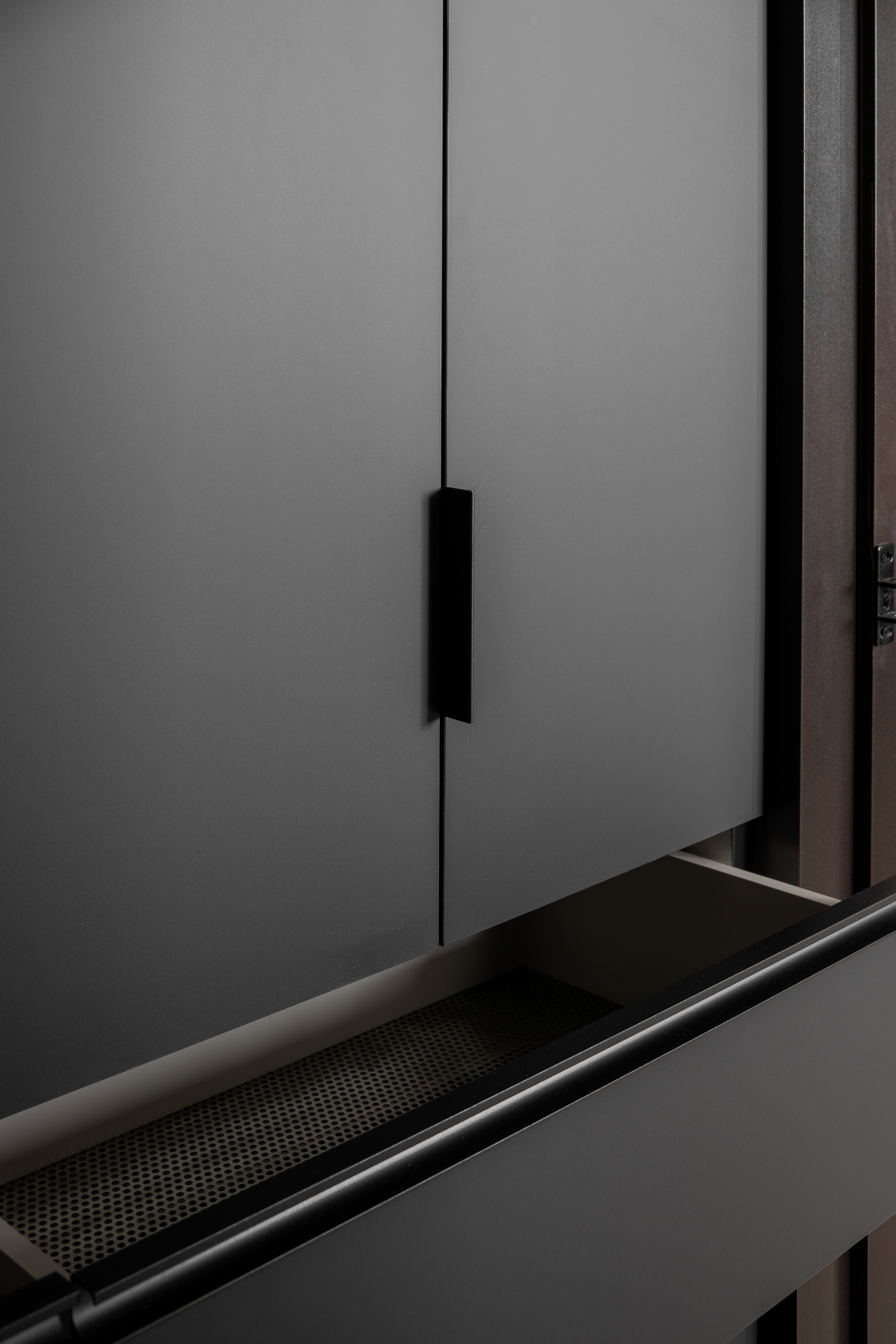 FENIX Cabinet Door 1