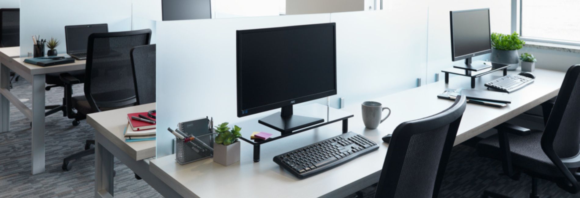 Bureaux 4923 Bois Résineux Crème